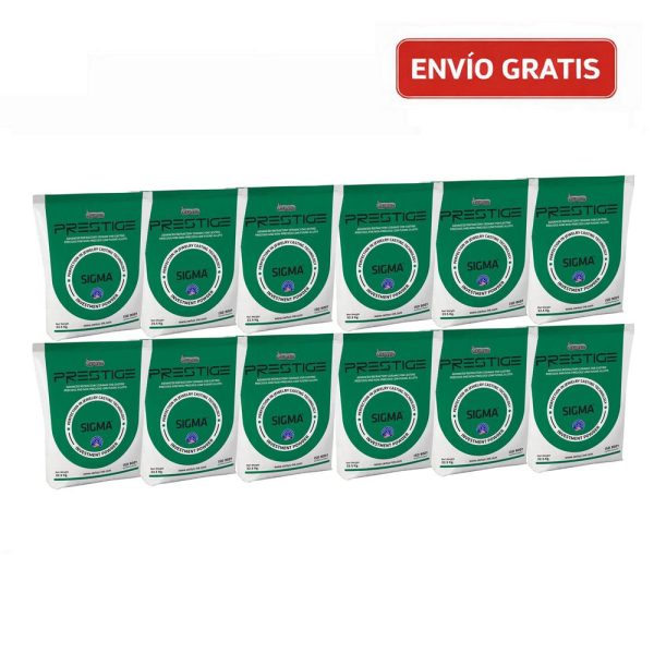 REVESTIMIENTO PRESTIGE SIGMA SACO 22 5Kg -12 SACOS